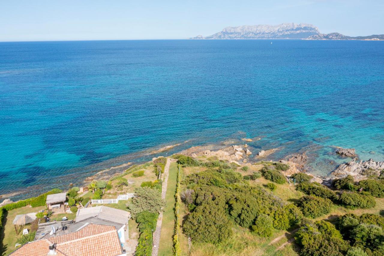 Casa Athena Βίλα Pittulongu Εξωτερικό φωτογραφία