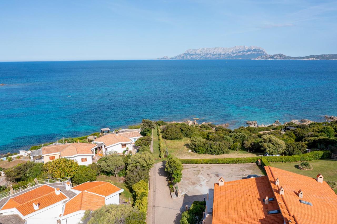 Casa Athena Βίλα Pittulongu Εξωτερικό φωτογραφία